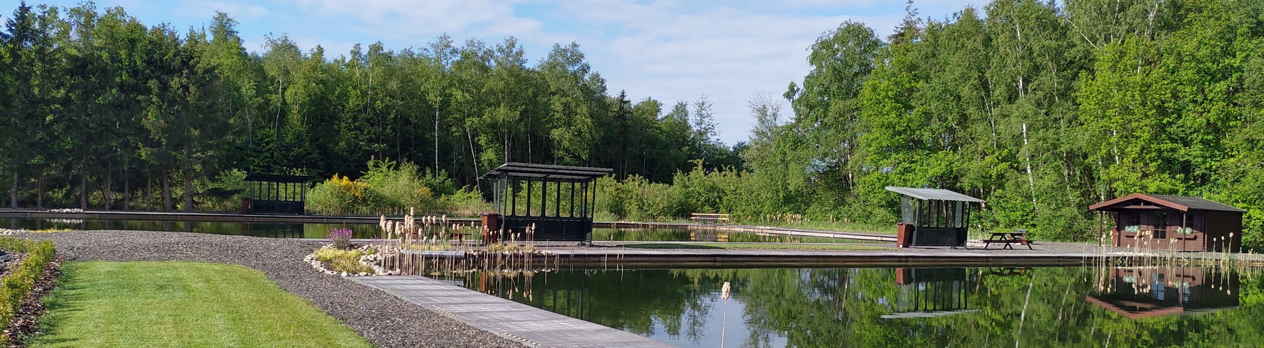 Ambitieus En emotioneel Forelvijver de Boshoek 2.0 in Elim! – Een dag genieten in de natuur van  Elim en omstreken!